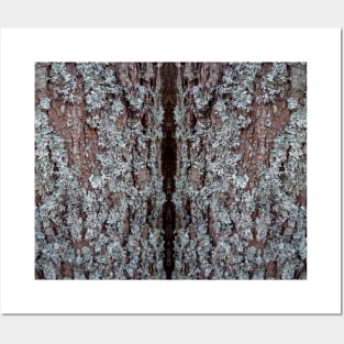 The texture of the brown bark of a tree with lichen on it. Posters and Art